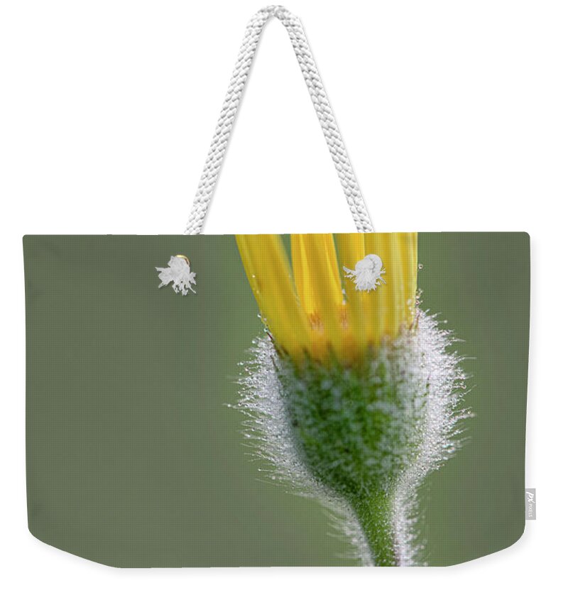 Groundsel Weekender Tote Bag featuring the photograph Groundsel Flower by Karen Rispin