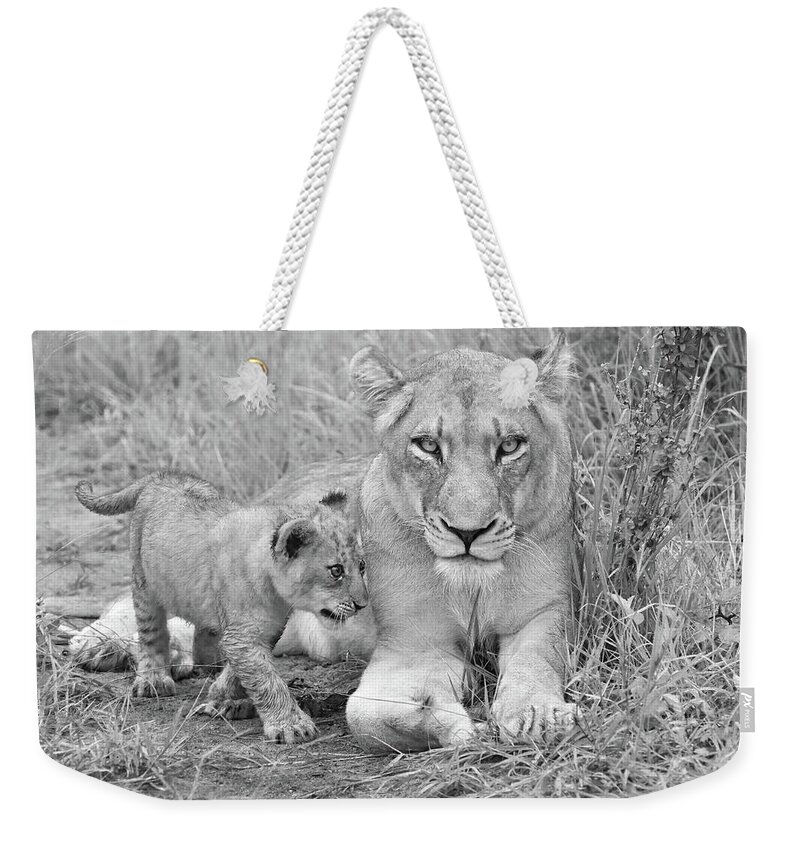 Lion Weekender Tote Bag featuring the photograph Guardian in Black and White by Rebecca Herranen