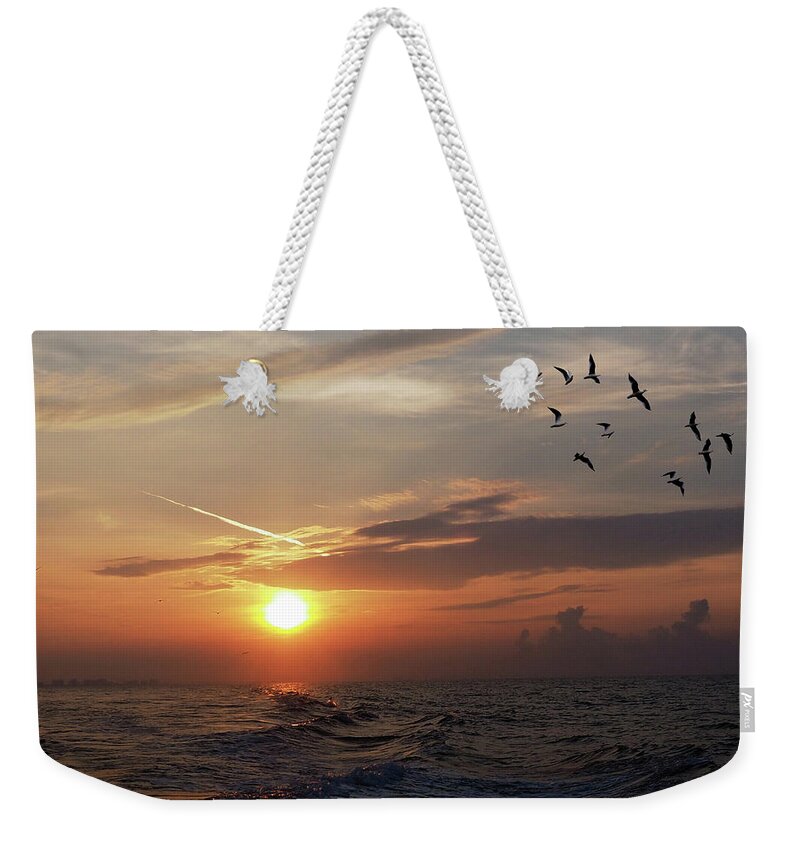 Birds Weekender Tote Bag featuring the photograph Gulls in the Gulf by James C Richardson