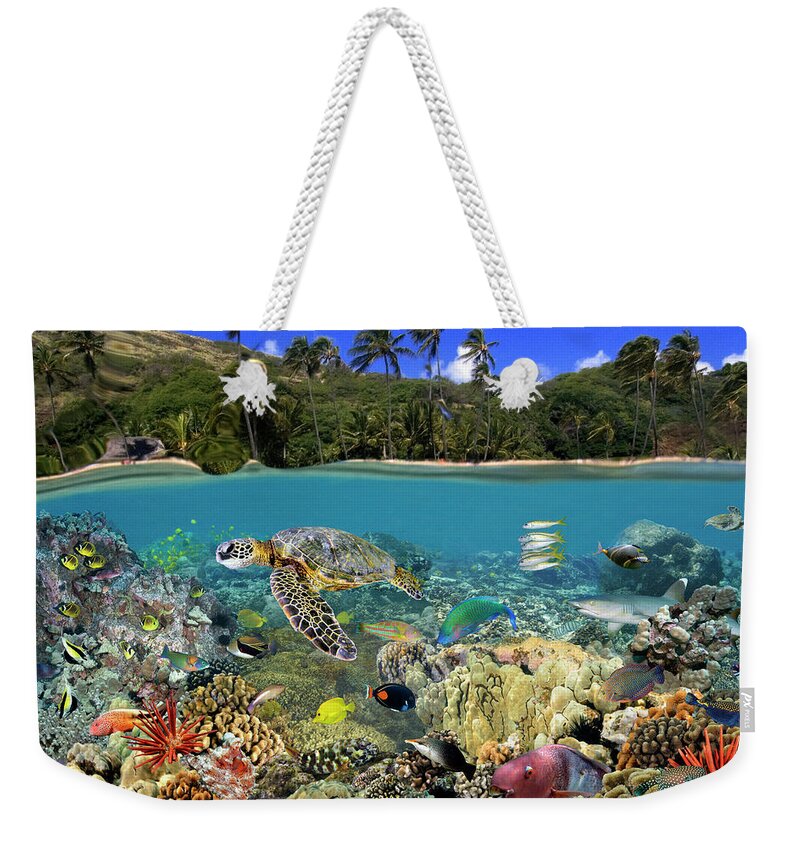 Ocean Weekender Tote Bag featuring the photograph Hanauma Bay by Artesub