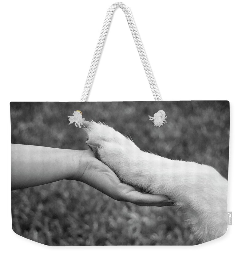 Dogs Weekender Tote Bag featuring the photograph Hand in Paw by Renee Spade Photography
