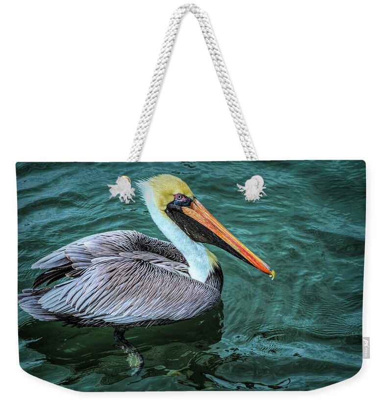 Birds Weekender Tote Bag featuring the photograph Handsome Pelican by Debra and Dave Vanderlaan