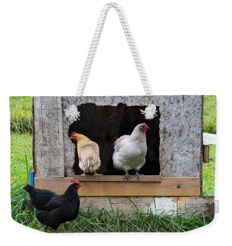 Hen Weekender Tote Bag featuring the photograph On the Stoop of the Coop by Bonny Puckett
