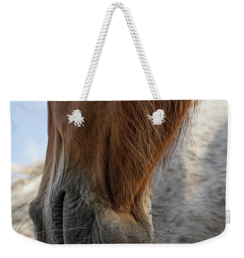 Horses Weekender Tote Bag featuring the photograph Hanging Out by M Kathleen Warren