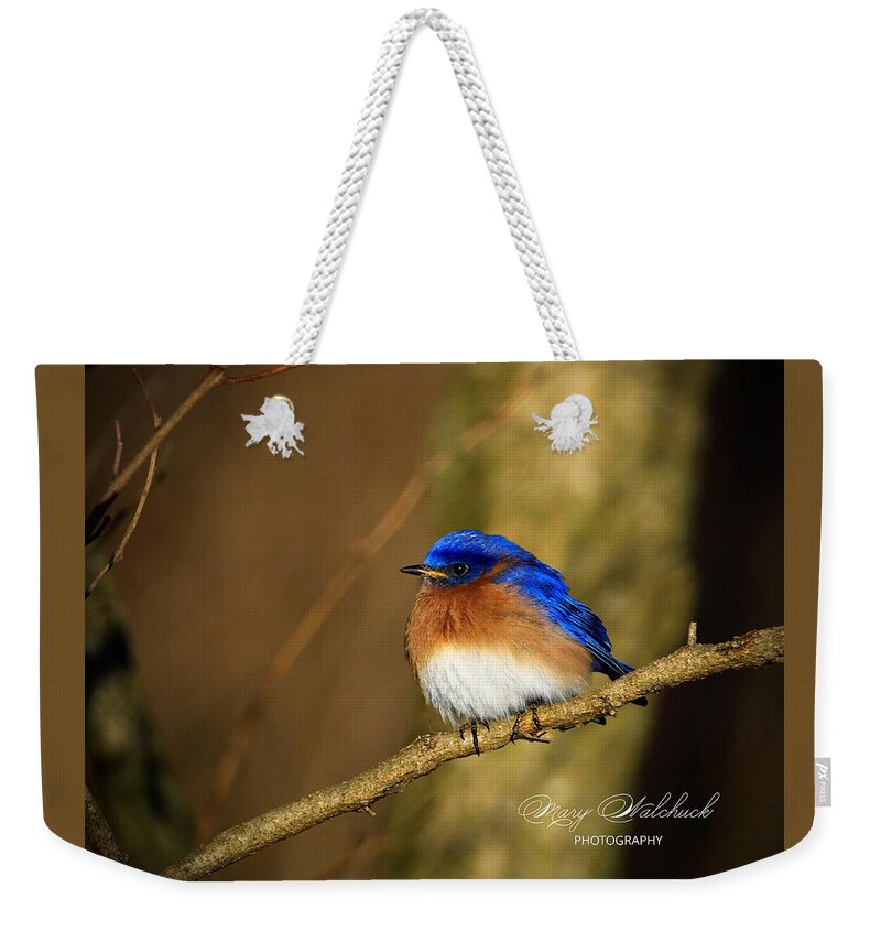 Eastern Bluebird Weekender Tote Bag featuring the photograph Happiness by Mary Walchuck