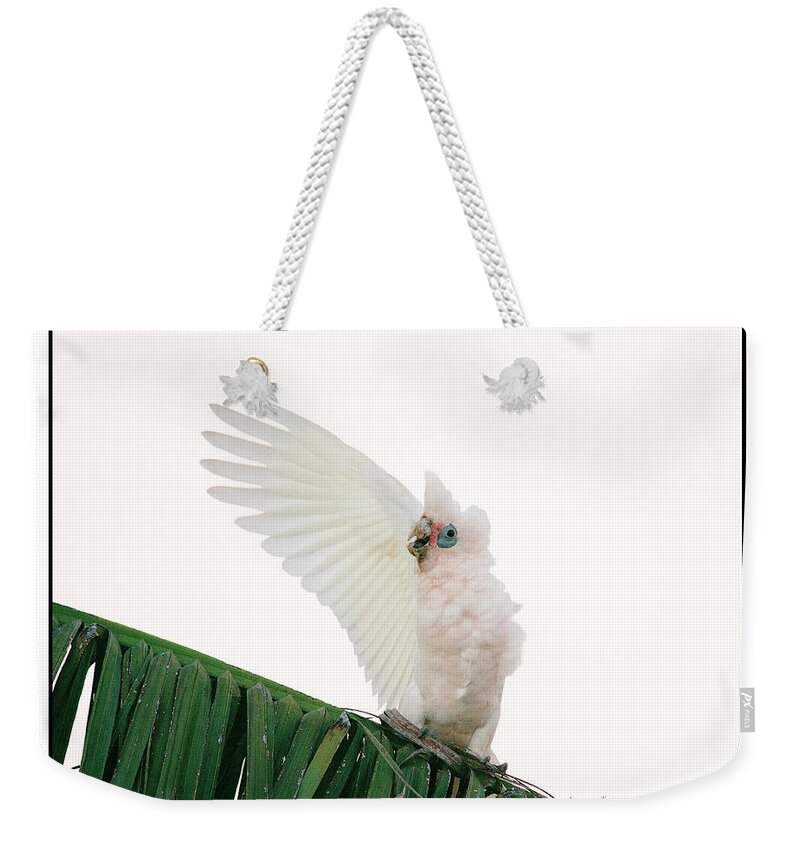 Corella Weekender Tote Bag featuring the photograph Happy Corella 3 by Russell Brown