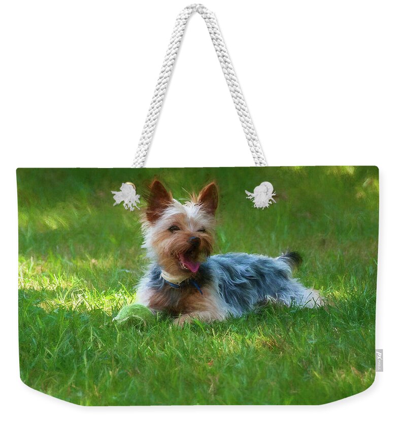 Dog Weekender Tote Bag featuring the photograph Happy Dog by Cathy Kovarik