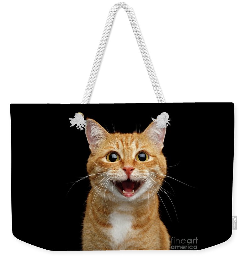 Cat Weekender Tote Bag featuring the photograph Happy Ginger Cat by Sergey Taran