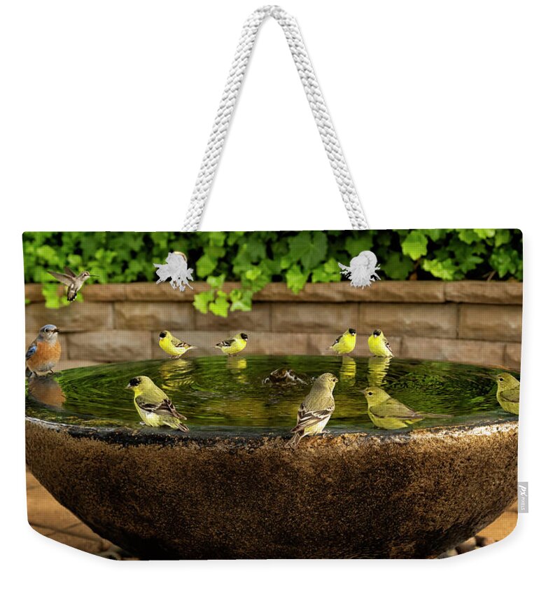 Gary-johnson Weekender Tote Bag featuring the photograph Happy Hour at the Watering Hole by Gary Johnson