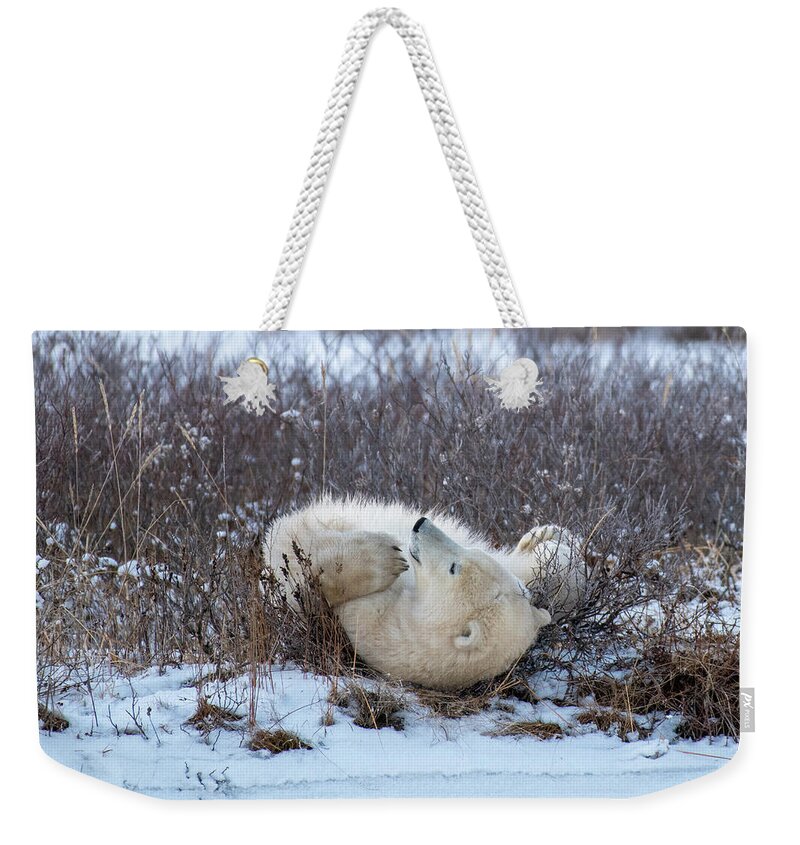 Polar Bear Weekender Tote Bag featuring the photograph Happy Polar Bear by Mark Hunter