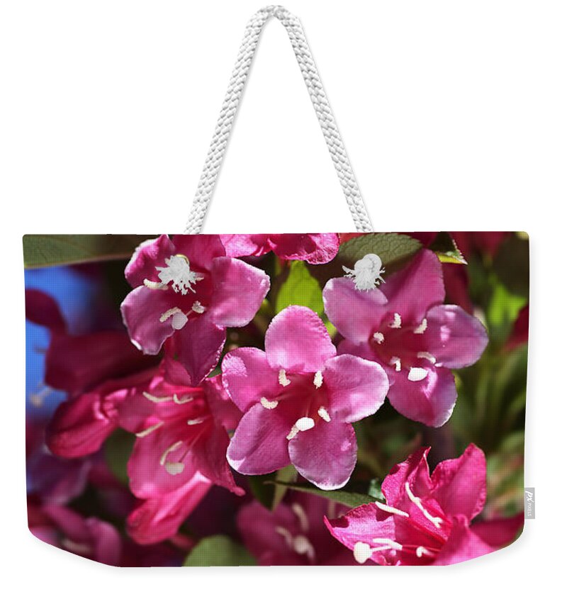 Bubbleblue Weekender Tote Bag featuring the photograph Happy Small Pink Flowers by Joy Watson