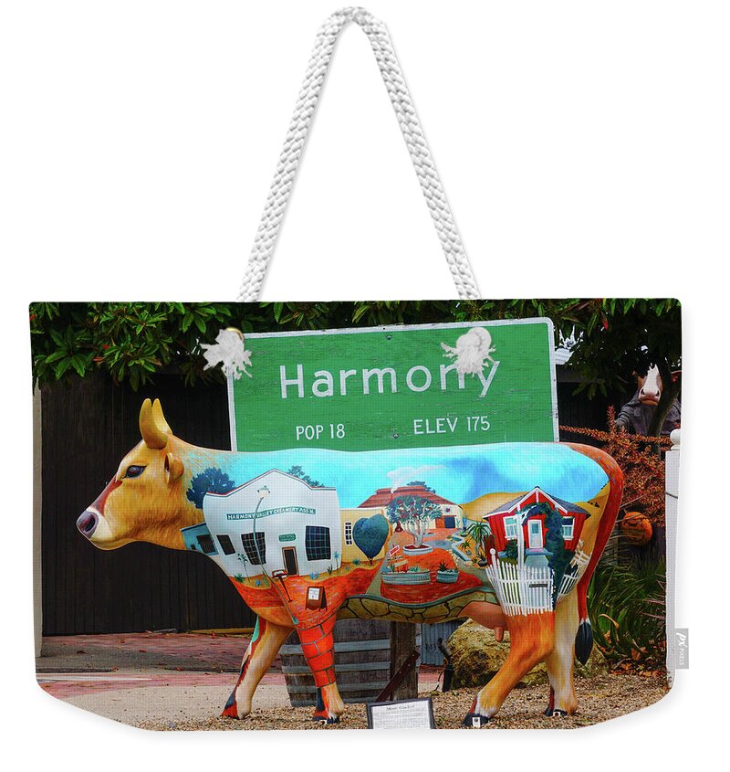 Harmony Weekender Tote Bag featuring the photograph Harmony by Brett Harvey