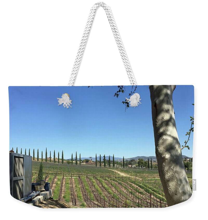 Birch Tree Weekender Tote Bag featuring the painting Hart Vines and Birch by Roxy Rich