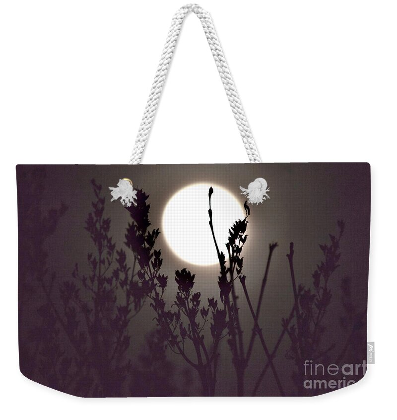 Full Moon Weekender Tote Bag featuring the photograph Harvest Moon Risin' by Debra Banks