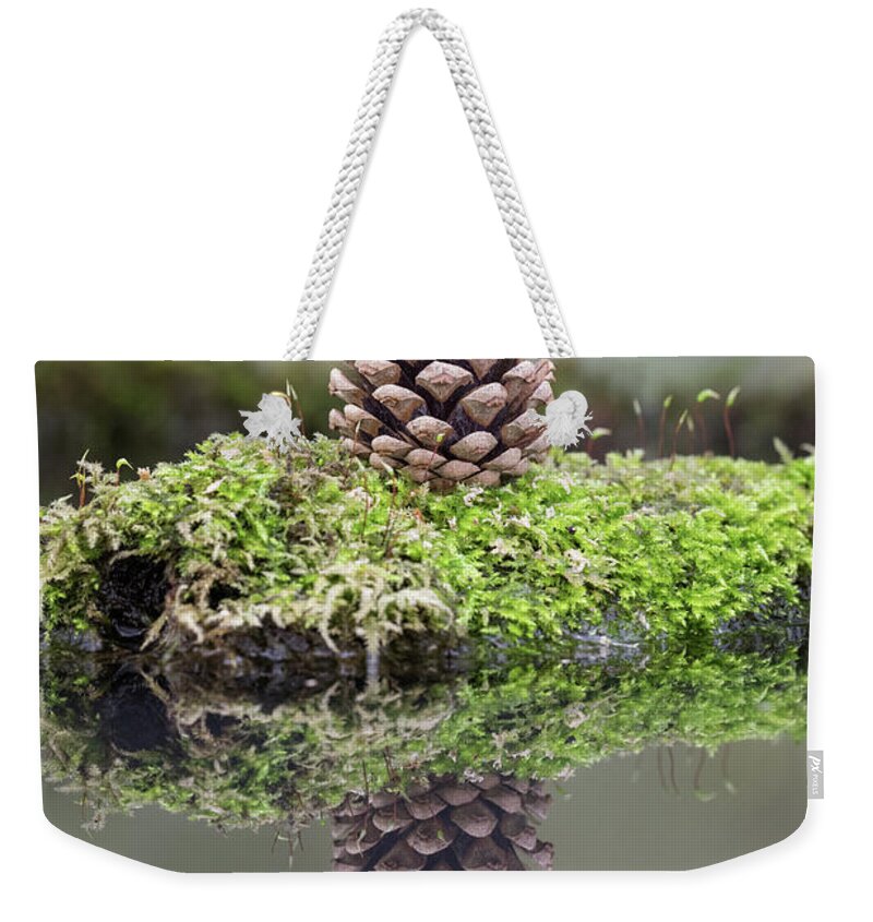 Harvestmouse Weekender Tote Bag featuring the photograph Harvest mouse on a pine cone by Erika Valkovicova