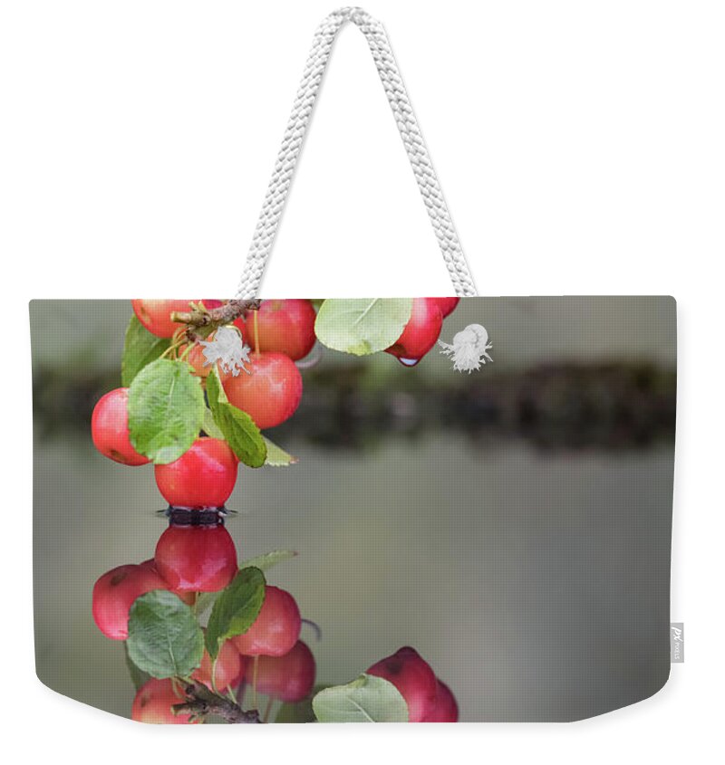 Harvestmouse Weekender Tote Bag featuring the photograph Harvest mouse reflection by Erika Valkovicova