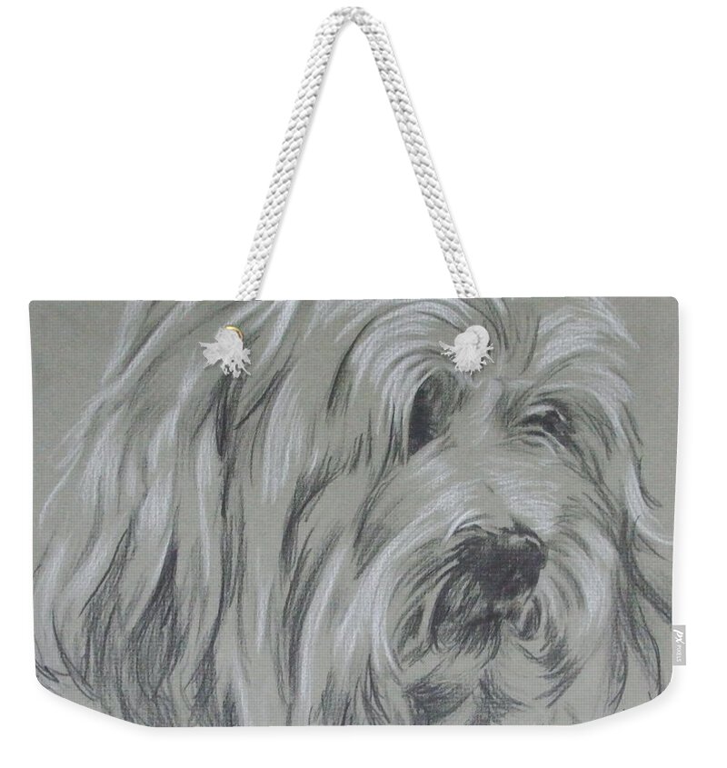Toy Breed Weekender Tote Bag featuring the drawing Havanese Portrait in Graphite by Barbara Keith