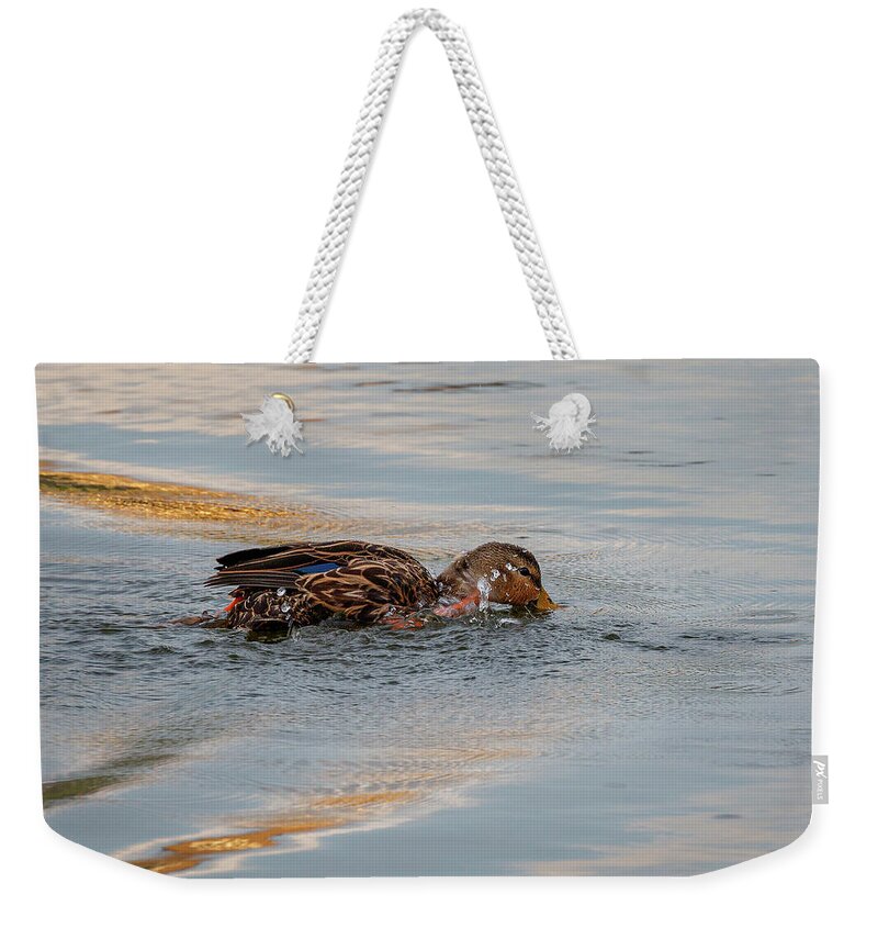 Duck Weekender Tote Bag featuring the photograph Having Fun by Les Greenwood
