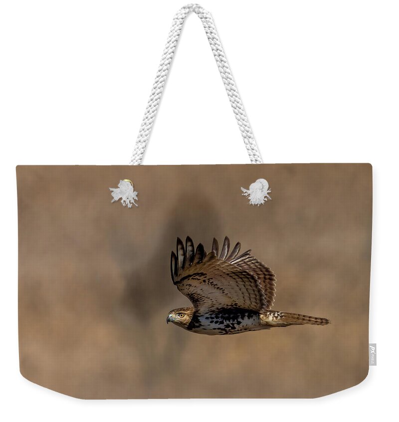 Hawk Weekender Tote Bag featuring the photograph Hawk in Flight by Jim Miller