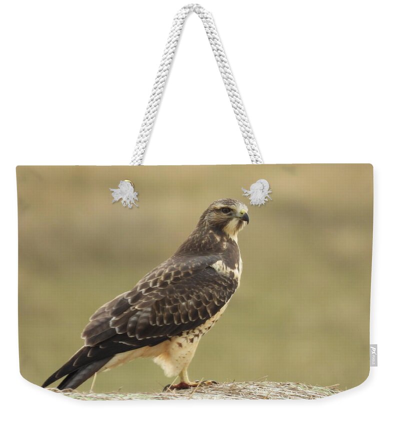 Hawk Weekender Tote Bag featuring the photograph Hawk on a Bale by Amanda R Wright