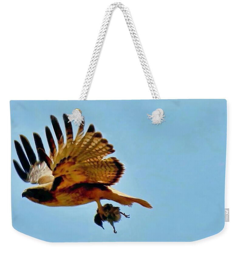 Waywardmuse Weekender Tote Bag featuring the photograph Hawk's Take-Out by Judy Kennedy
