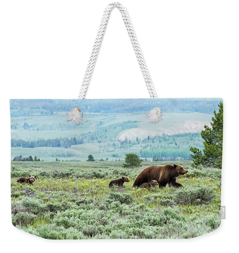 Grizzly Bear 399 Weekender Tote Bag featuring the photograph Heading South, No. 2 - Grizzly 399 and Cubs by Belinda Greb