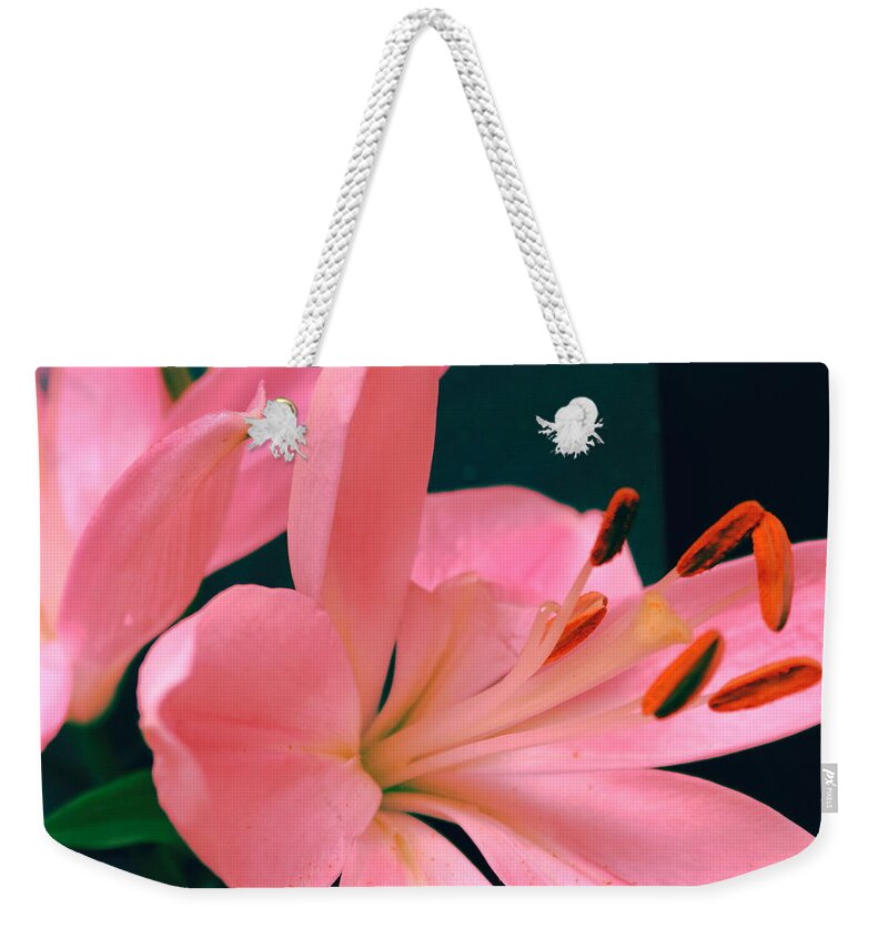 Lily Weekender Tote Bag featuring the photograph Heads up by M Diane Bonaparte