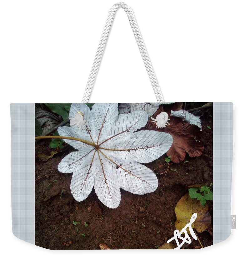 Heal Weekender Tote Bag featuring the photograph Heal Me Herbal by Esoteric Gardens KN