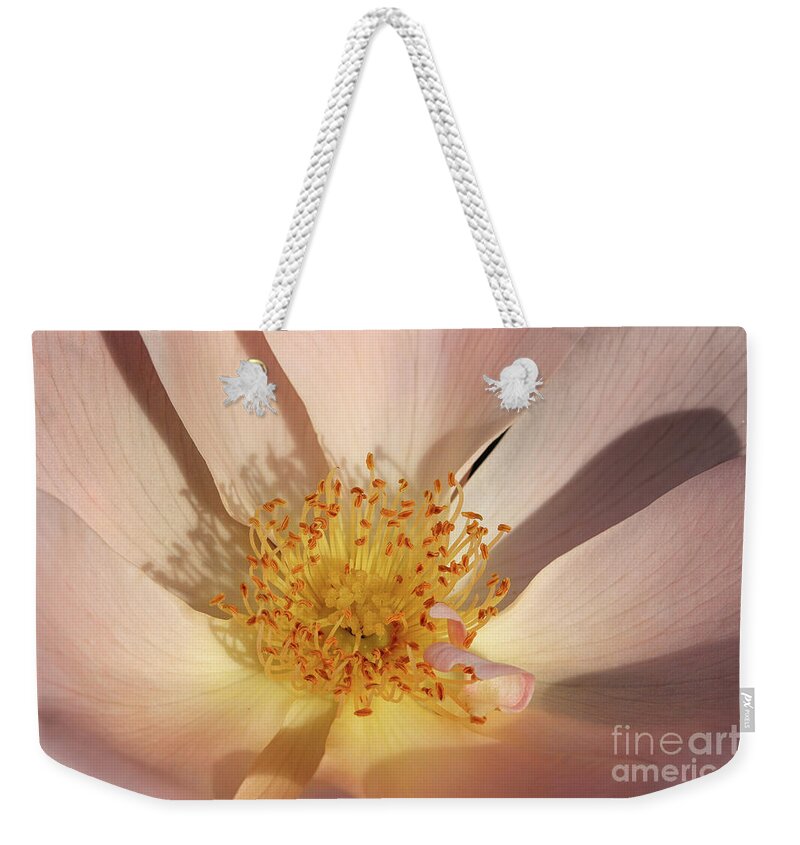 Macro Weekender Tote Bag featuring the photograph Heart of a Rose by Karen Adams