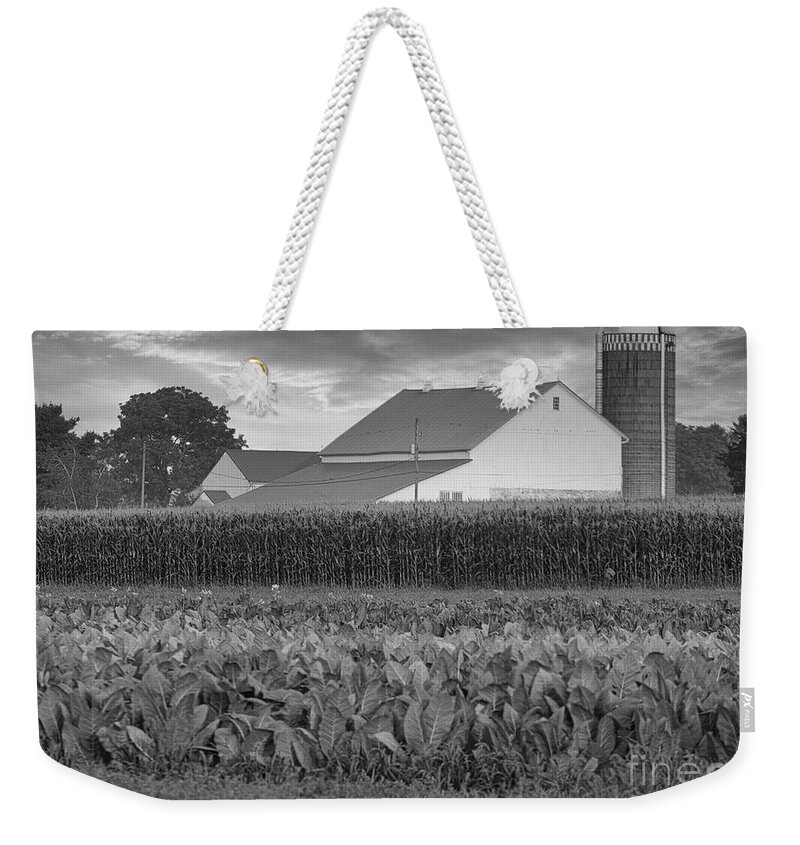 Amish Weekender Tote Bag featuring the photograph Heartland of America Amish Farm PA by Chuck Kuhn