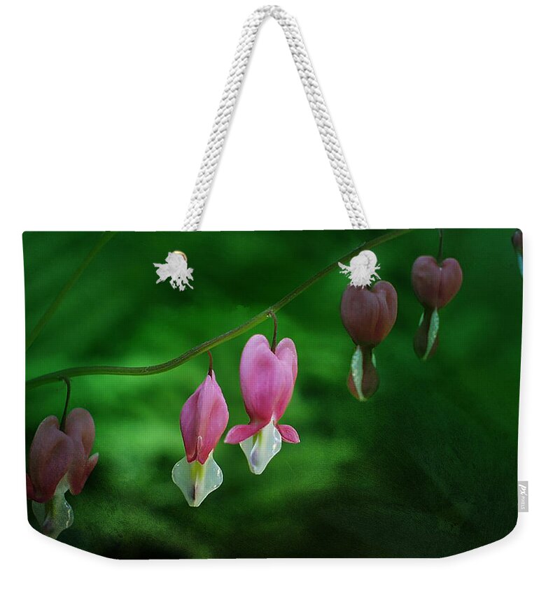 Dicentra Weekender Tote Bag featuring the photograph Hearts of Spring by Moira Law