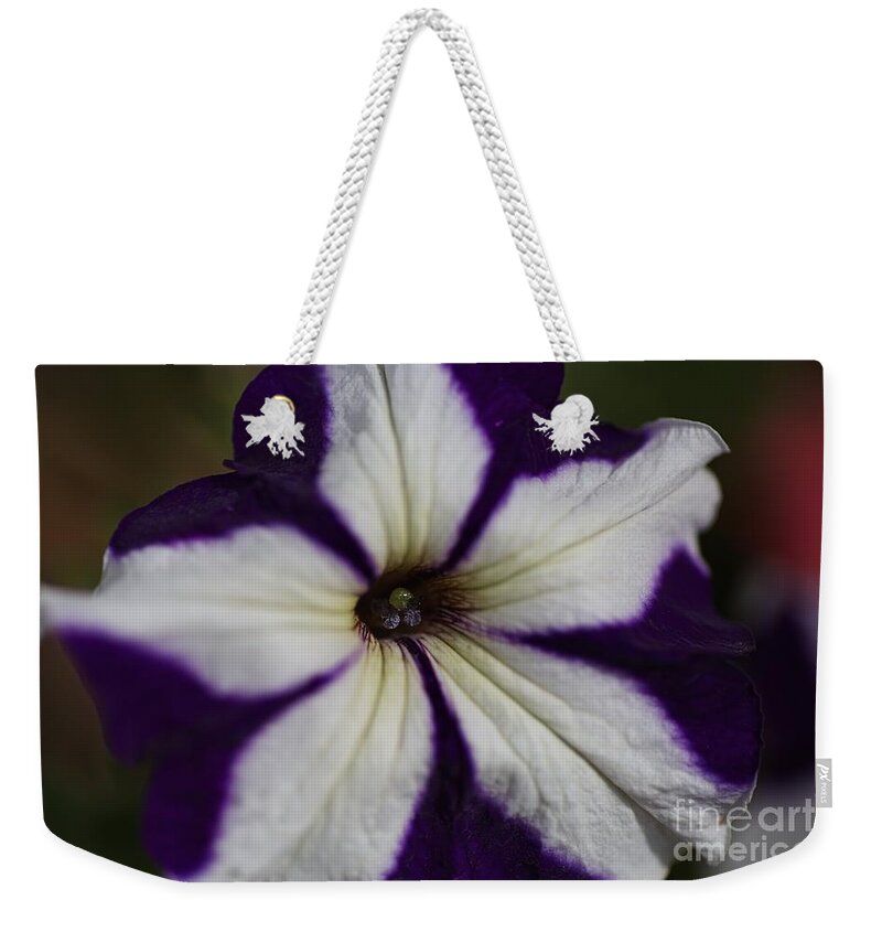 Petunia Weekender Tote Bag featuring the photograph Hearts Of The Petunia by Joy Watson