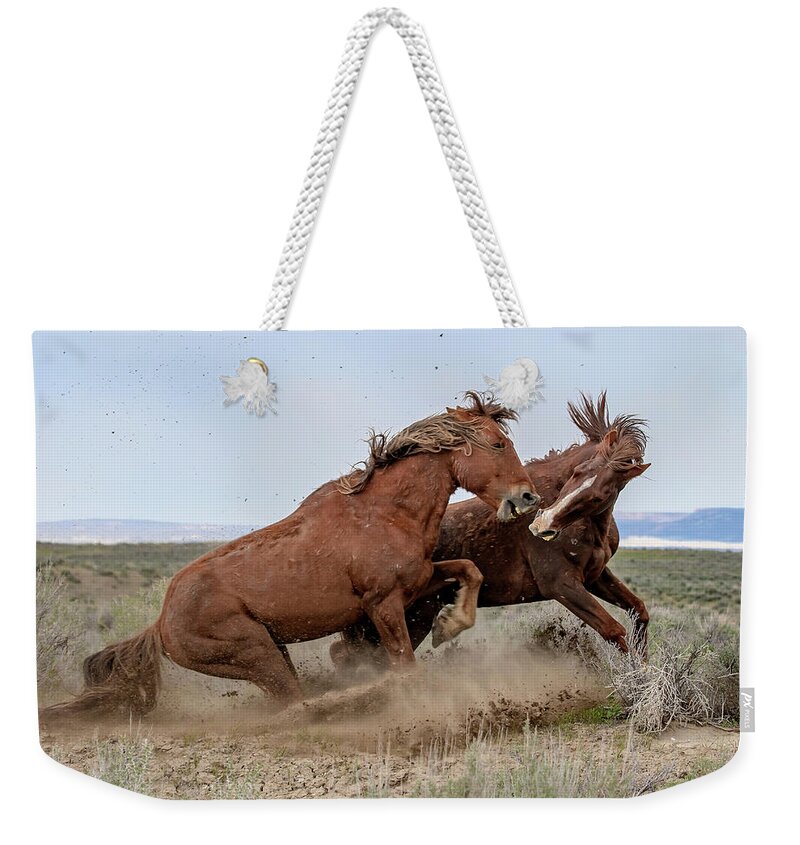 Wild Mustangs Weekender Tote Bag featuring the photograph Heavy Weights #1 by Mindy Musick King