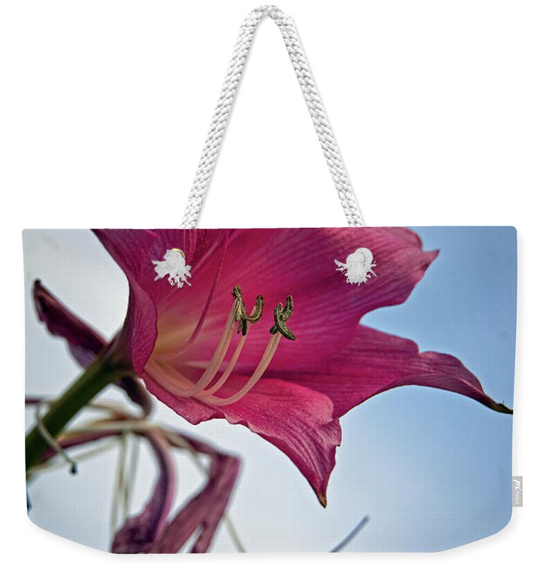 Lily Weekender Tote Bag featuring the photograph Heirloom by M Kathleen Warren