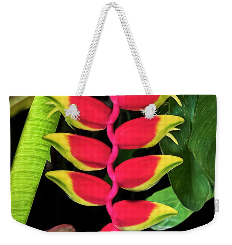 Heliconia Weekender Tote Bag featuring the photograph Heliconia Lobster Claw by Ginger Stein