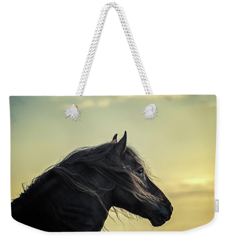 Photographs Weekender Tote Bag featuring the photograph Heliophilia - Horse Art by Lisa Saint