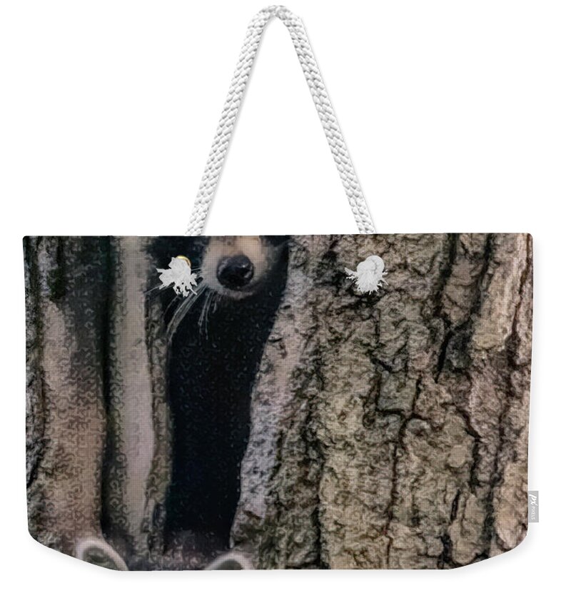 Racoon Weekender Tote Bag featuring the photograph Hello Neighbor by ChelleAnne Paradis