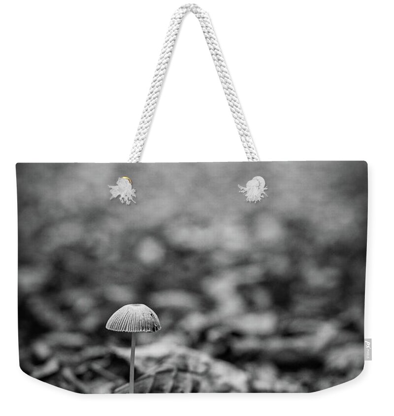 Mushroom Weekender Tote Bag featuring the photograph Hello there little one by Gavin Lewis