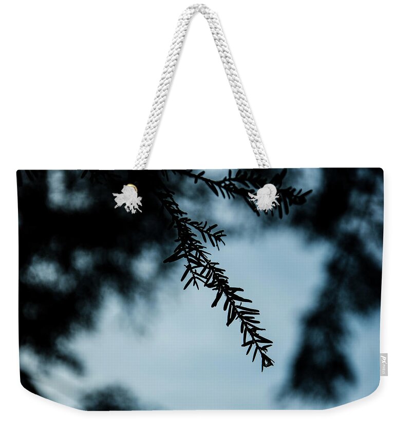 Natural Weekender Tote Bag featuring the photograph Hemlock Branch Silhouette by Pelo Blanco Photo