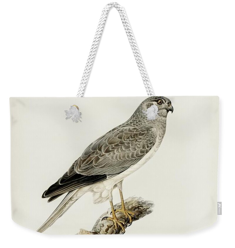 Vintage Print Weekender Tote Bag featuring the mixed media Hen Harrier by World Art Collective