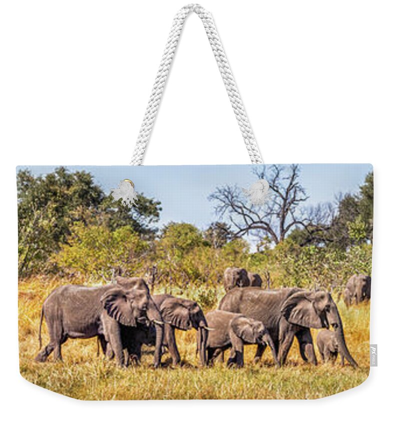 African Elephants Weekender Tote Bag featuring the photograph Herd of Elephants on the Way to Watering Hole by Elvira Peretsman