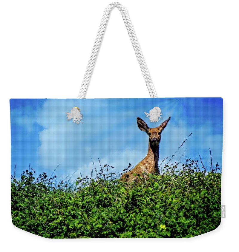 Alone Weekender Tote Bag featuring the digital art Here's Looking At You Dear by David Desautel