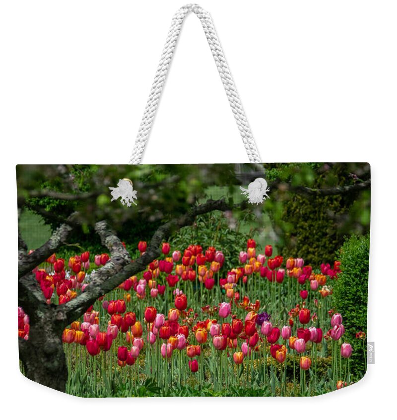 Color Weekender Tote Bag featuring the photograph Heroes of the Garden by Linda Bonaccorsi