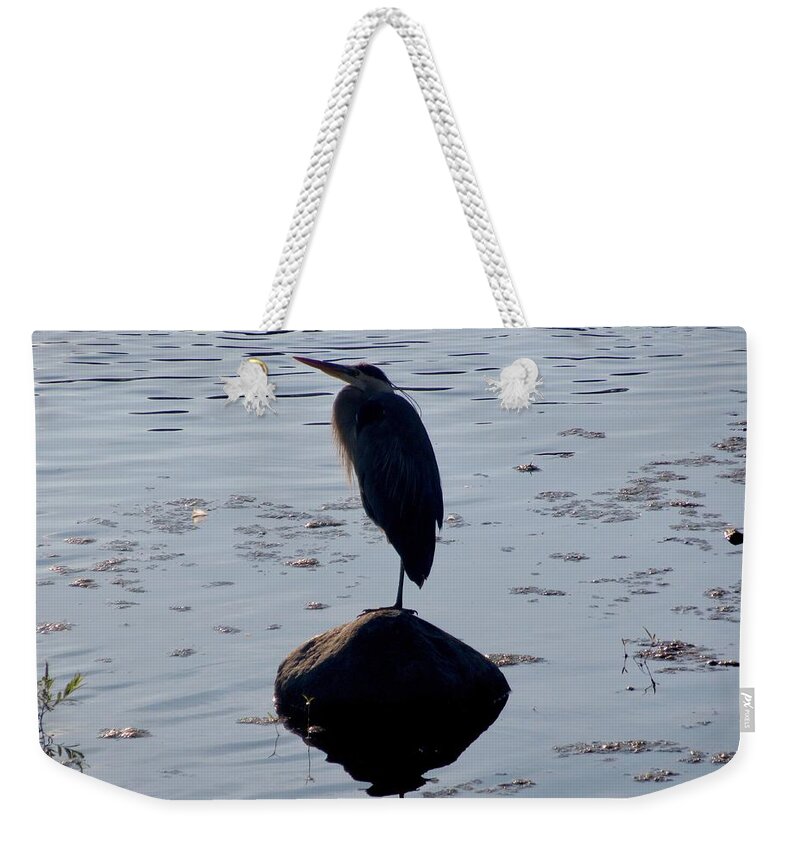 Heron Weekender Tote Bag featuring the photograph Heron on a rock by Stephanie Moore