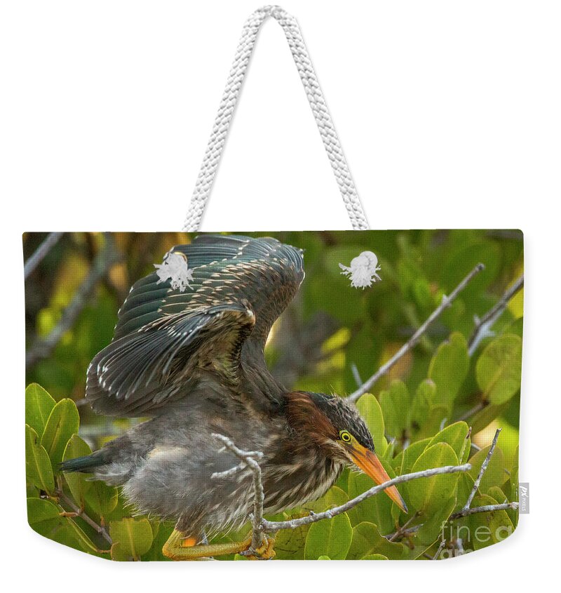 Heron Weekender Tote Bag featuring the photograph Heron Wing Flex by Tom Claud
