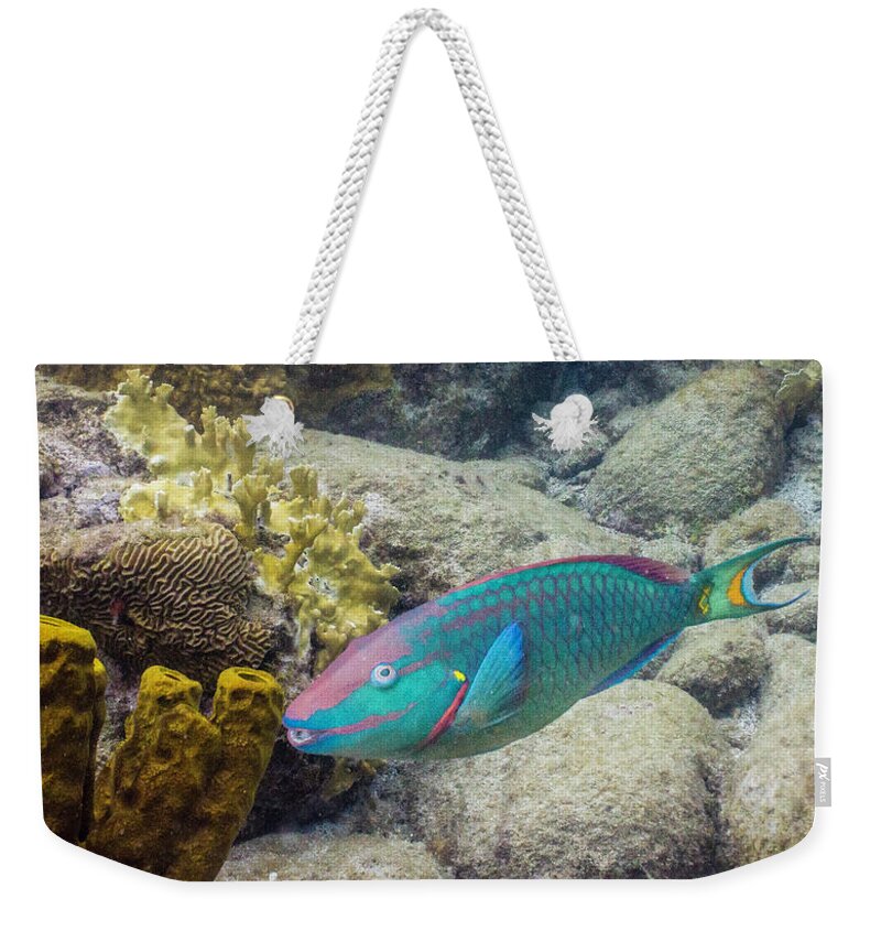 Animals Weekender Tote Bag featuring the photograph Hey Good Lookin' by Lynne Browne