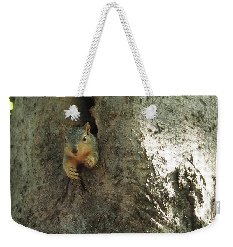 Squirrel Weekender Tote Bag featuring the photograph Hi There by C Winslow Shafer