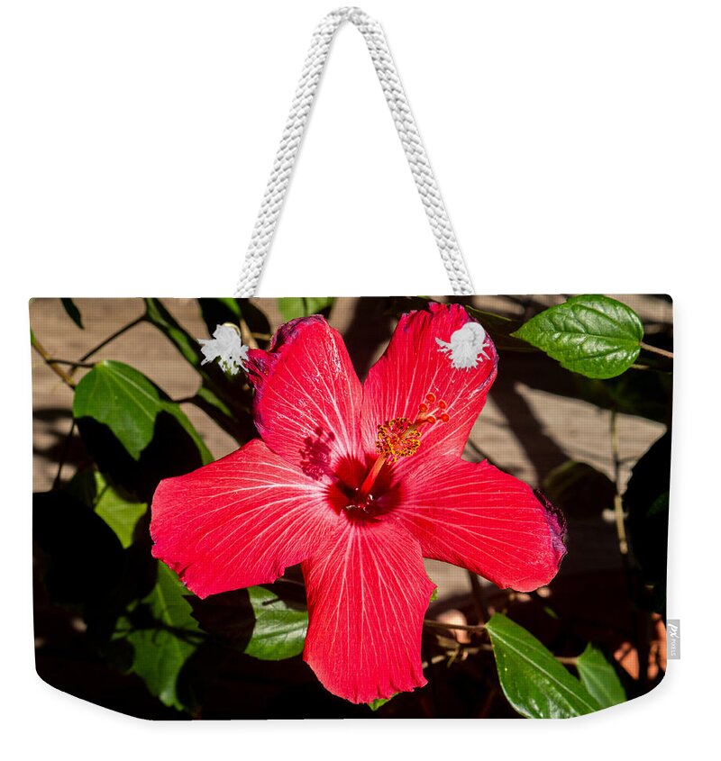 Flower Weekender Tote Bag featuring the photograph Hibiscus Blossom by Ivars Vilums