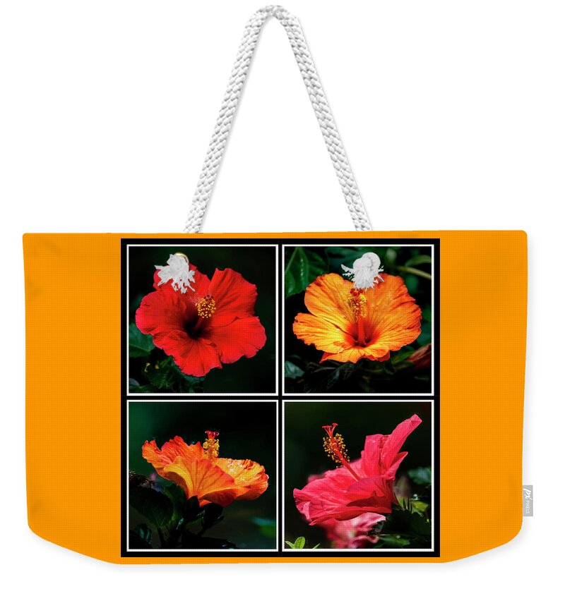 Hibiscus Weekender Tote Bag featuring the photograph Hibiscus by Joe Paul