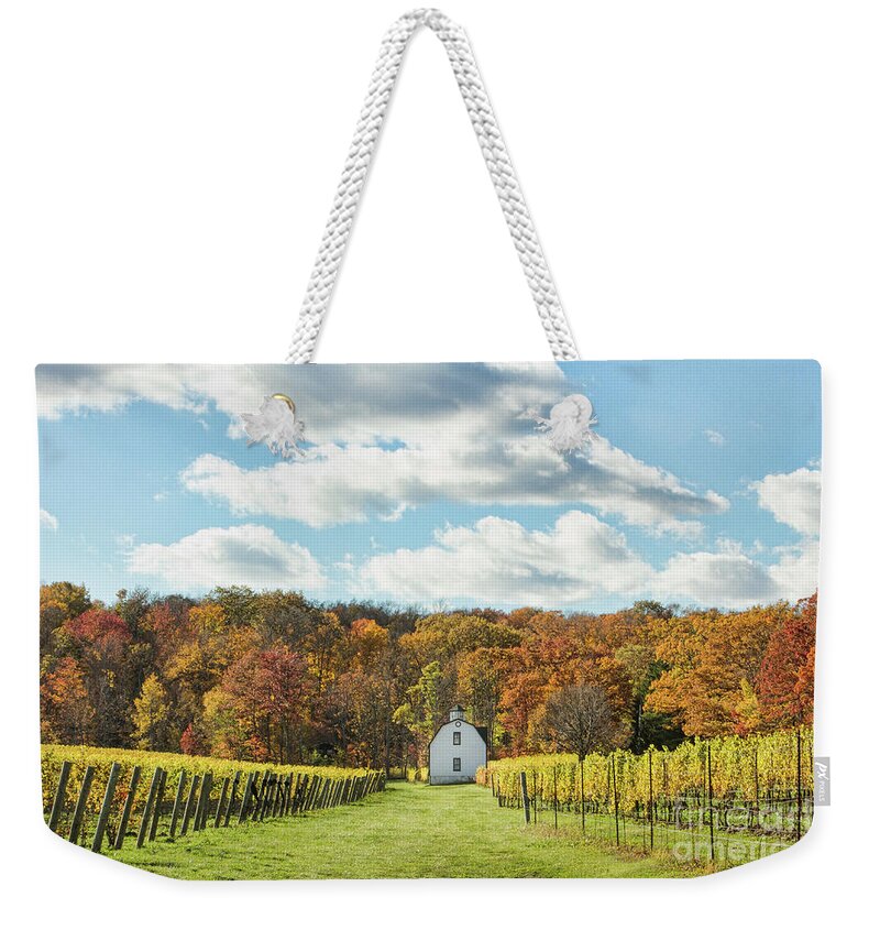 Lake Ontario Weekender Tote Bag featuring the photograph Hidden Bench by Marilyn Cornwell